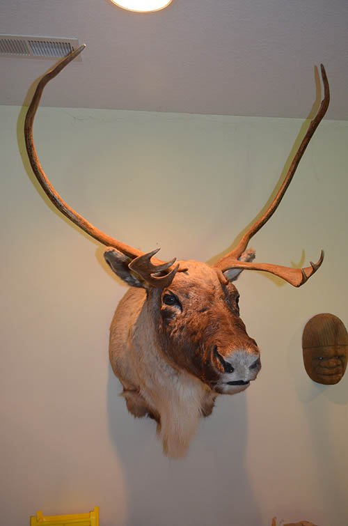 Property photo 70 - Personal Property Auction, Tractor & Implements, Cars, Lawn & Garden, Hunting & Fishing, Guns, Antiques & Collectibles, Household
